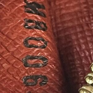 Louis Vuitton papillon 30 excellent condition